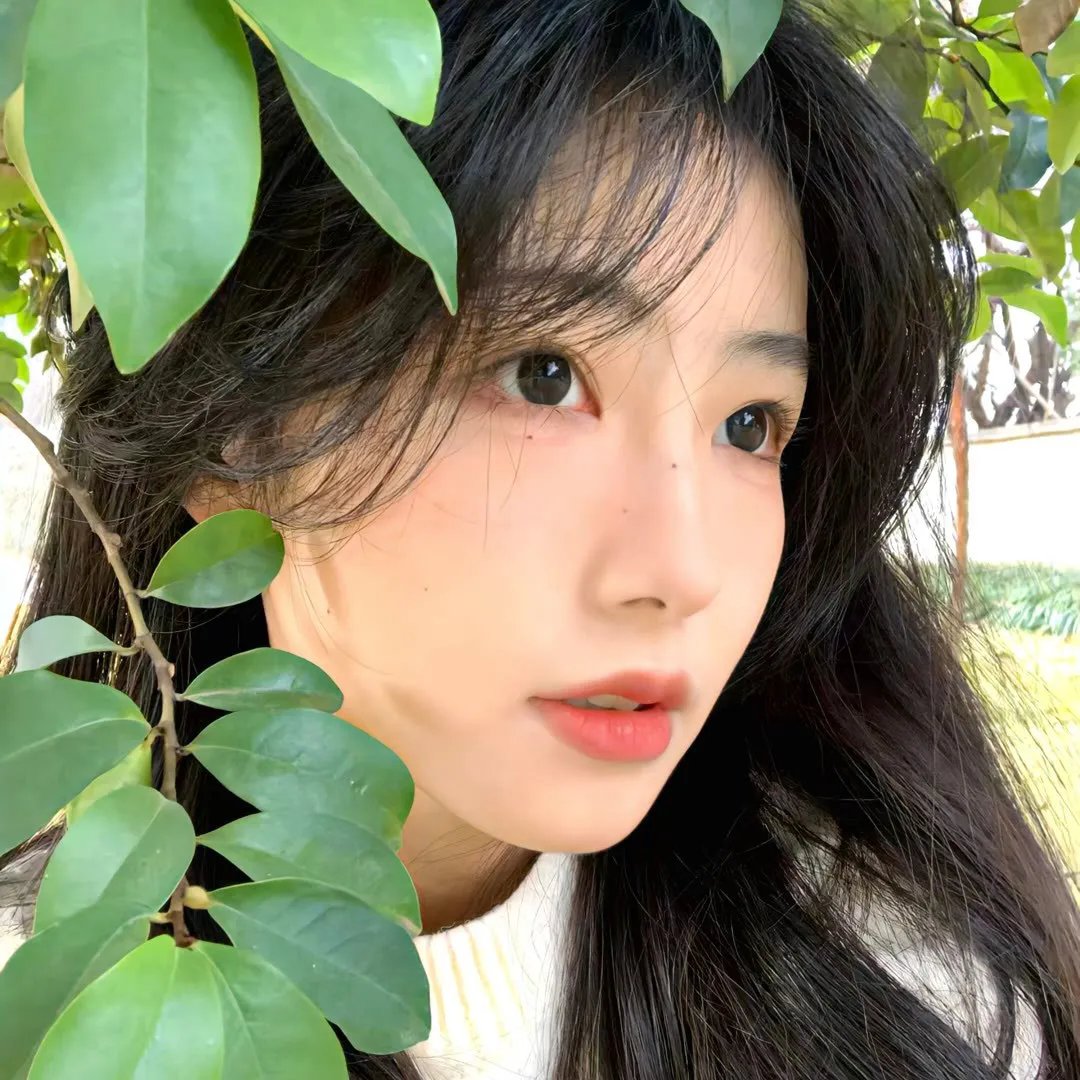 苍兰诀动画版