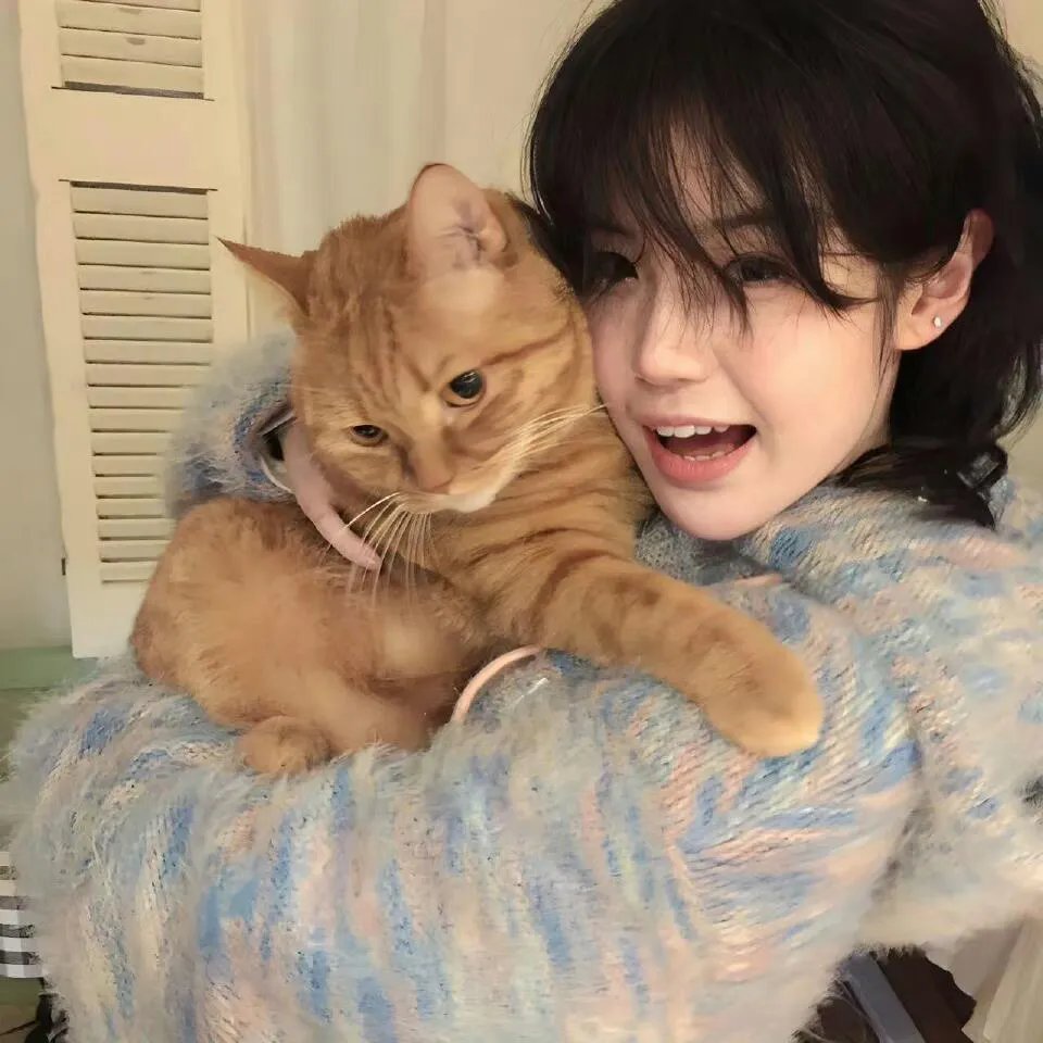 红猪