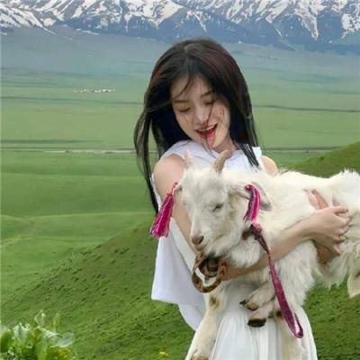 悲惨的追逐